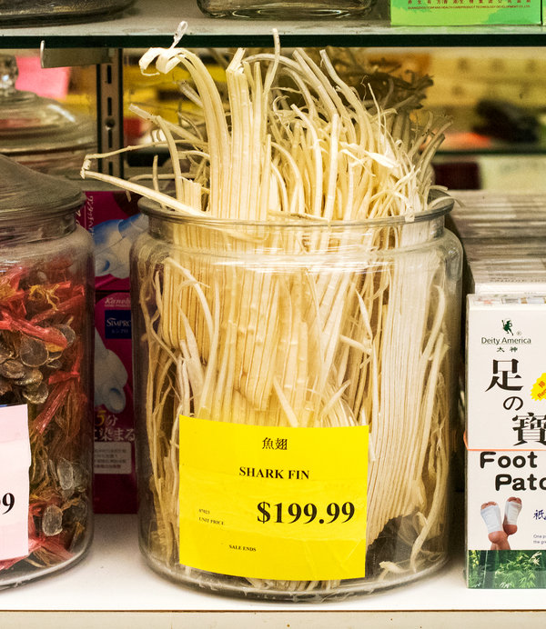 鱼翅在新泽西(专题)州东布朗斯维克的香港(专题)超市卖到近200美元一磅