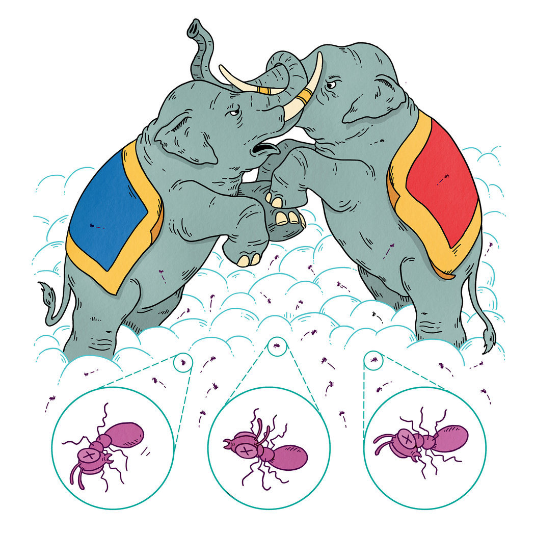 大象打架蚂蚁遭殃 中美贸易战越南能幸免吗