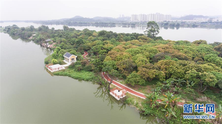 串联城市自然山水人文 共享生态文明建设成果——我国绿道建设发展综述