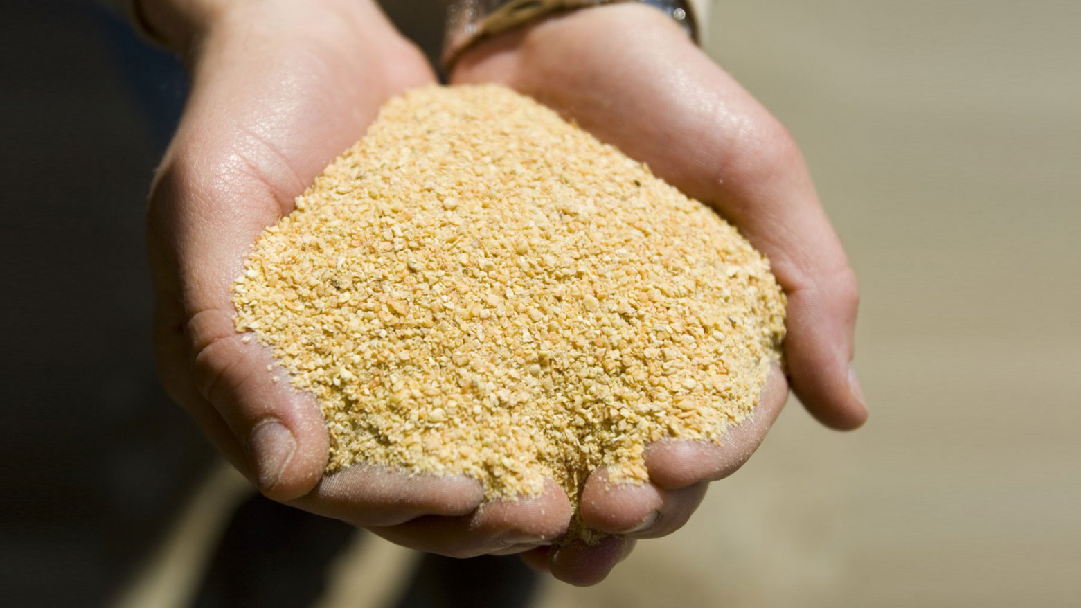 豆粕是大豆炼油后下脚料，属于优质饲料