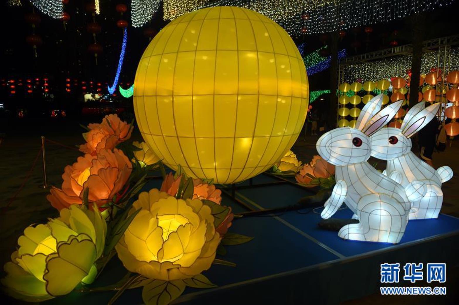 9月11日在香港维多利亚公园中秋彩灯会上拍摄的彩灯.jpg
