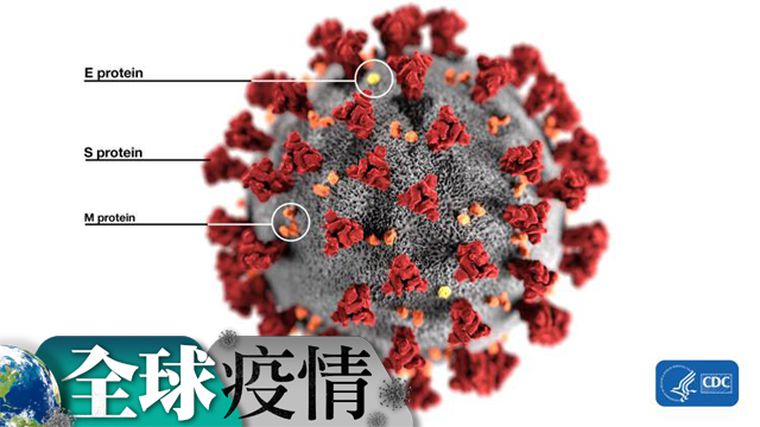 新型冠状病毒与棘蛋白.jpg