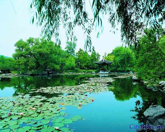 杭州：上有天堂下有苏杭，房价相比北上广也比较具有性价比。