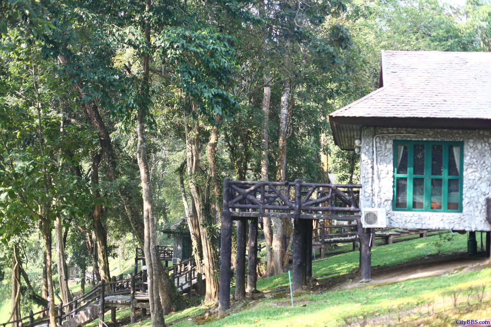 森林公园里的森林小屋