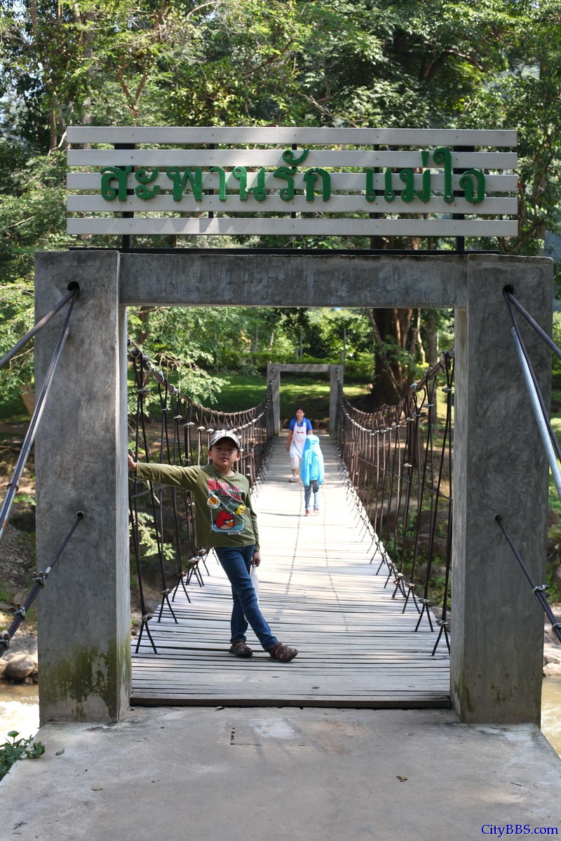 泰国北部 Doi Pha Hom Pak National Parks 泰国森林公园里的小溪 Mae Jai Stream