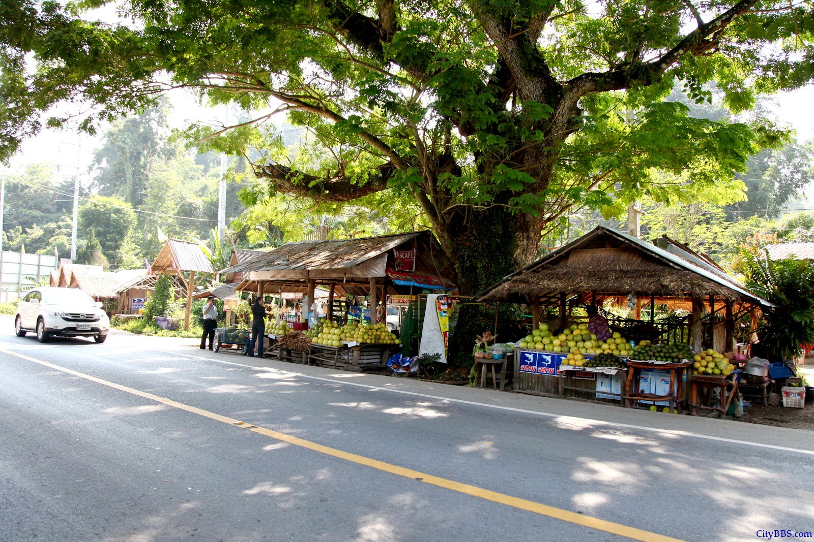 泰北Doi Pha Hom Pok National Park国家森林公园至清迈 107号公路