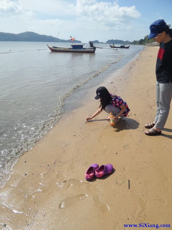 合艾（Hat Yai）至 Pak Bara Pier, 开往丽贝岛（Koh Lipe）的轮渡码头