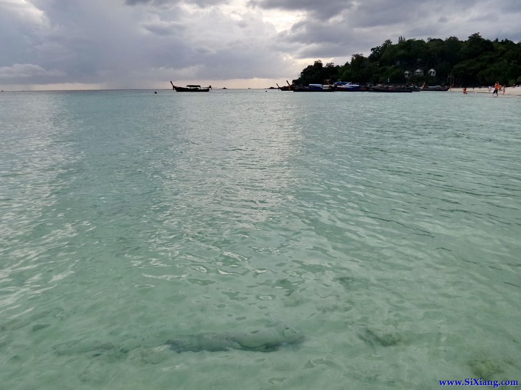 Pak Bara Pier, 开往丽贝岛（Koh Lipe）