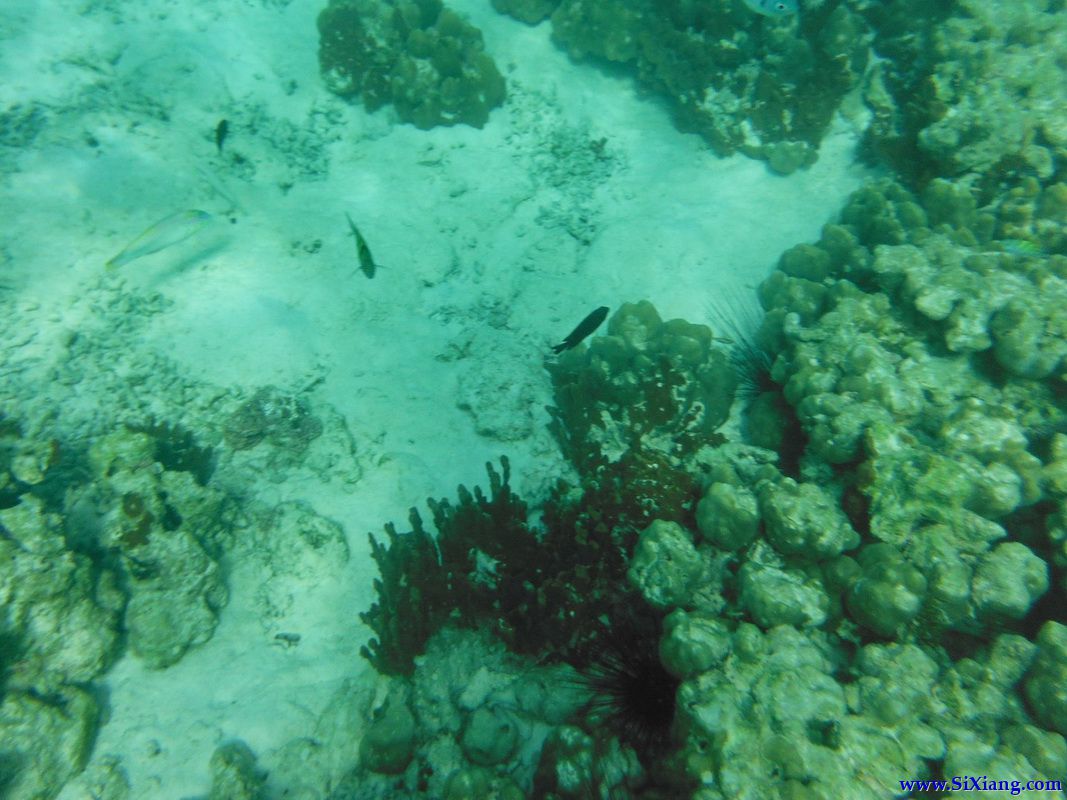 丽贝岛（Koh Lipe）游览