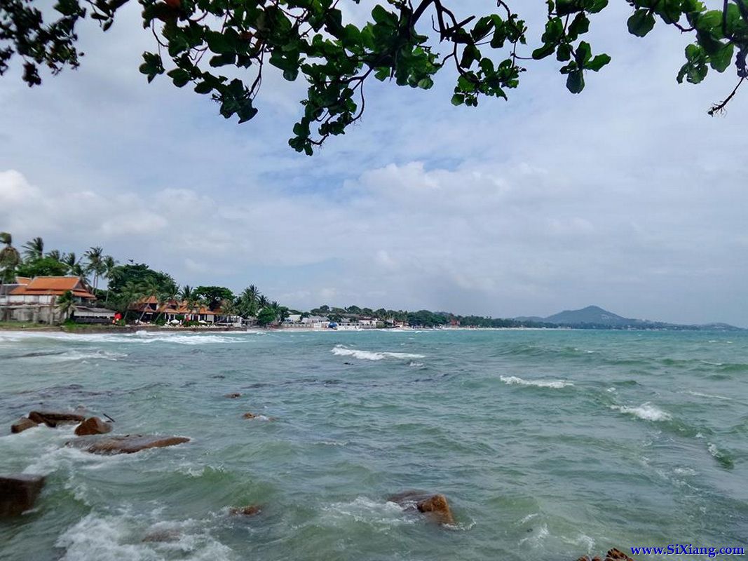 苏梅岛（Koh Samui）至春蓬（Chumphon）