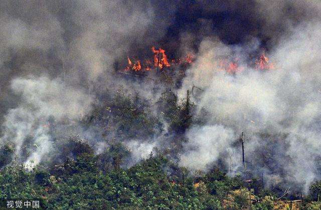 巴西亚马孙雨林大火，浓烟滚滚满目苍夷