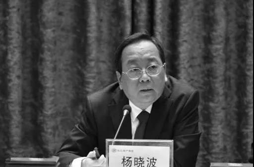 长江财险董事长，原黄石市长因重症肺炎去世