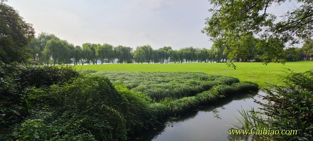 西湖美景