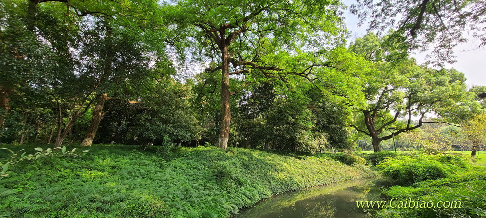 西湖美景