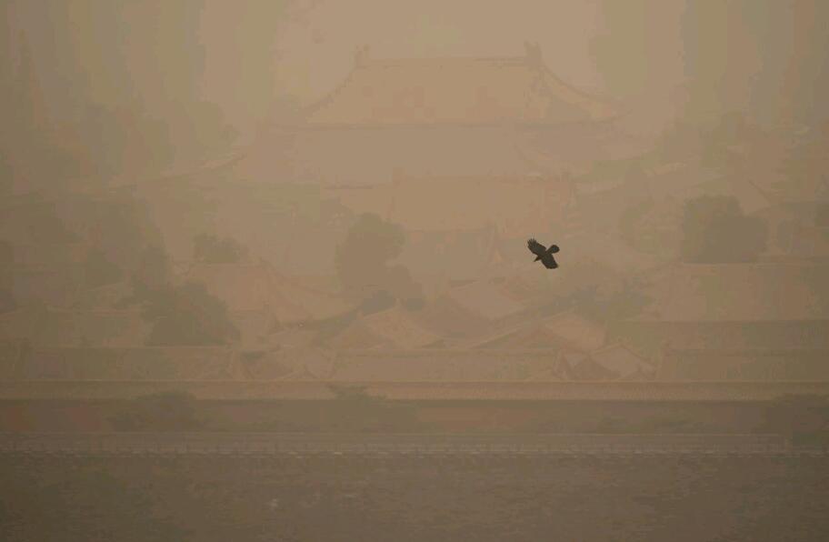 10年最强沙尘暴之乱