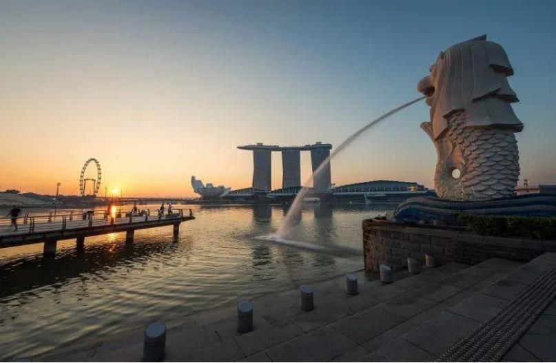 中国互联网精英：是如何卷入新加坡的？