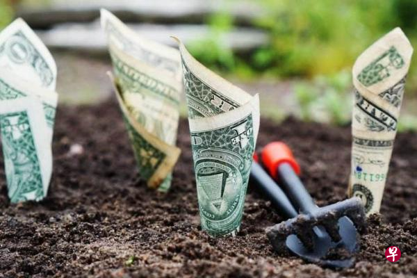 被中概股坑过多次的美国股民