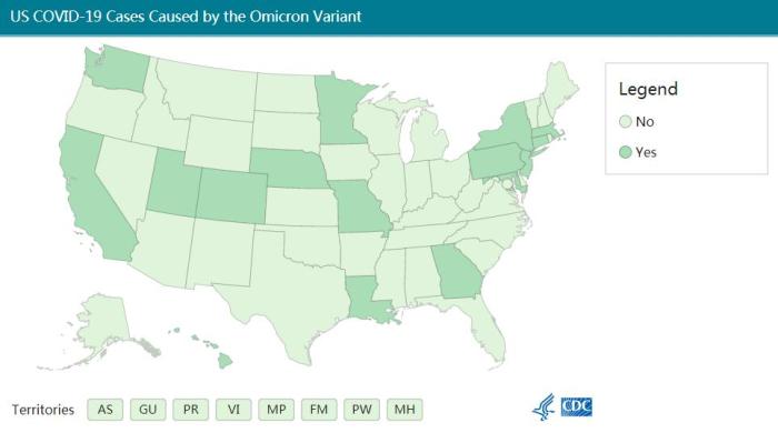 美国已有16个州出现新冠病毒奥密克戎毒株感染病例