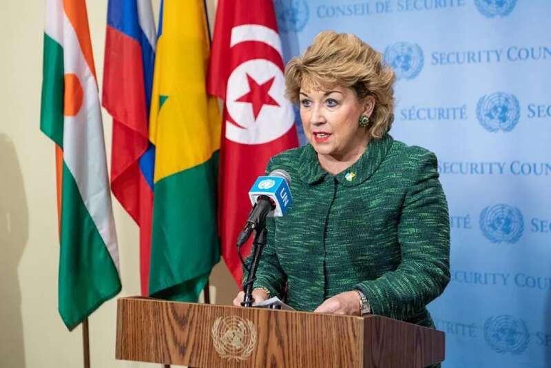 爱尔兰常驻联合国代表Geraldine Byrne Nason