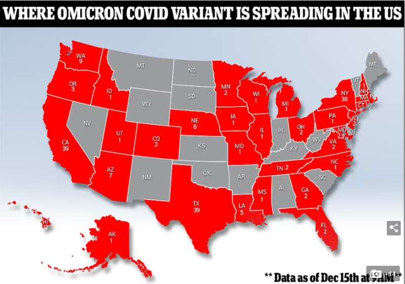 美国Omicron病例一夜之间猛增27%至241例