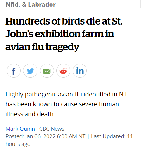 360只鸟类被感染死亡