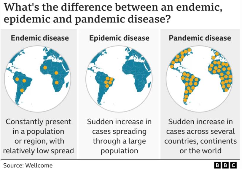 infographic showing pandemic, endemic and epidemic disease patterns
