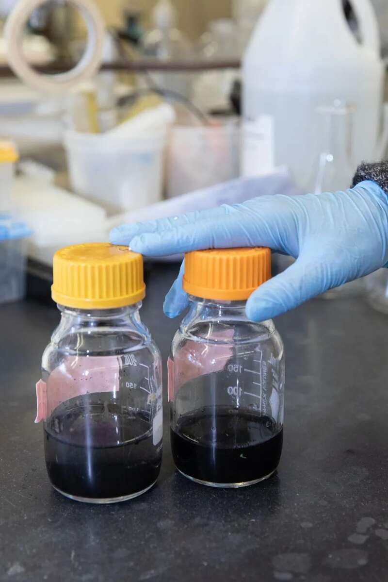 皇后学院约翰·丹尼希实验室的过滤后的废水样本