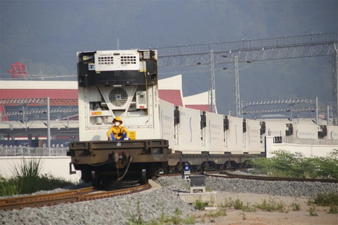 500吨泰国榴莲乘中老铁路冷链专列抵达国内2.jpg