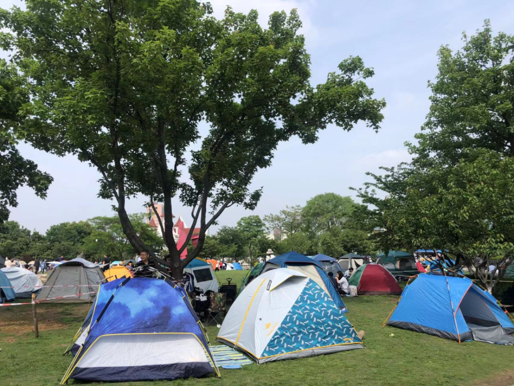 5月1日南京某公园草坪上的帐篷