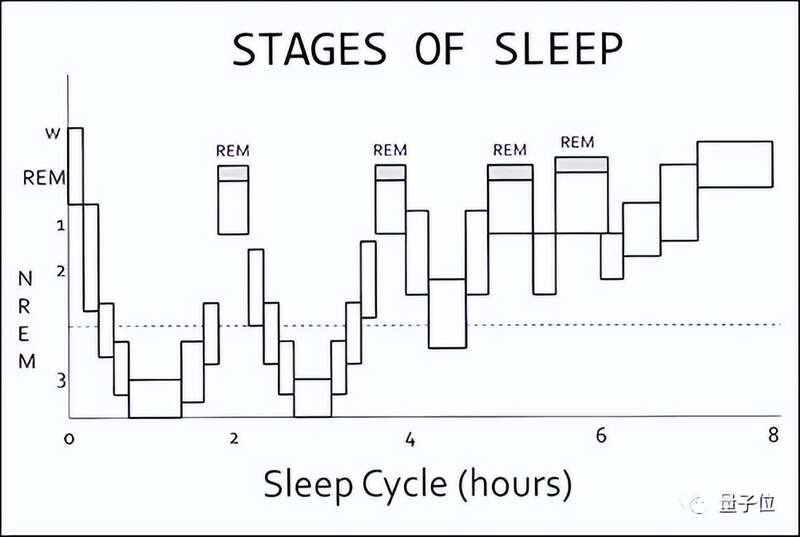 重放发生的时间主要在生物学意义上的慢波睡眠