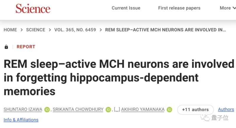 海马体中负责分泌黑色素聚集激素的MCH神经元会帮助大脑主动遗忘不重要的信息 ...