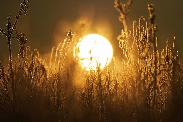 顿涅茨克地区巴赫穆特，前线的日落