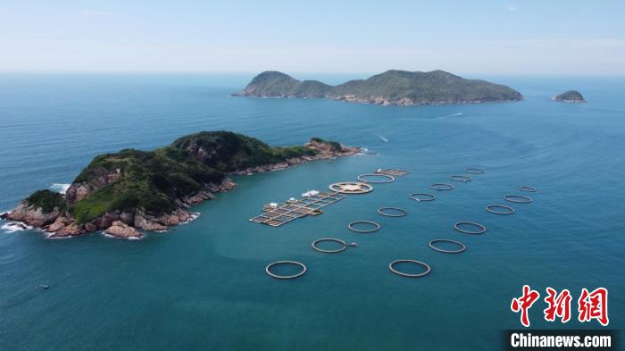 广东惠州海域深水网箱养殖