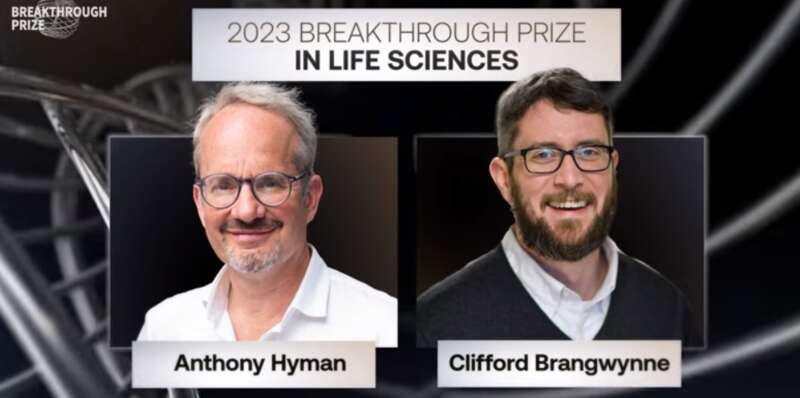 Clifford P. Brangwynne 和 Anthony A. Hyman，发现了一种新的细胞组织机制，颠覆了过去对于细胞组织的认知 ...