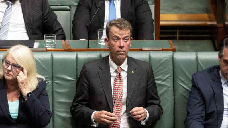 影子移民部长Dan Tehan指责政府将“大澳洲”政策的成本推给了纳税人