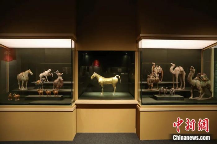 香港历史博物馆举行“绵亘万里——世界遗产丝绸之路”展览