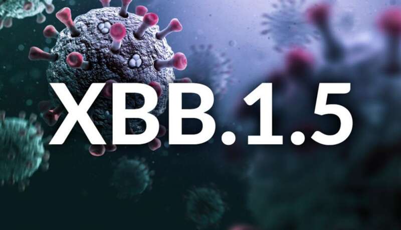 XBB1.5.jpeg