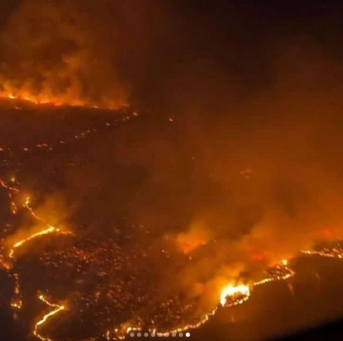 夏威夷山火超出人类认知 1000°F逃无可逃 