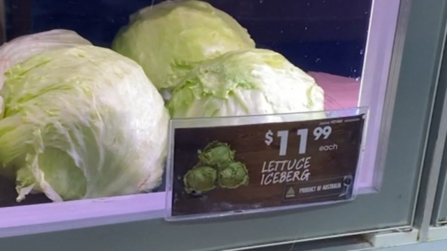 澳洲的物价实在太高，尤其是蔬菜