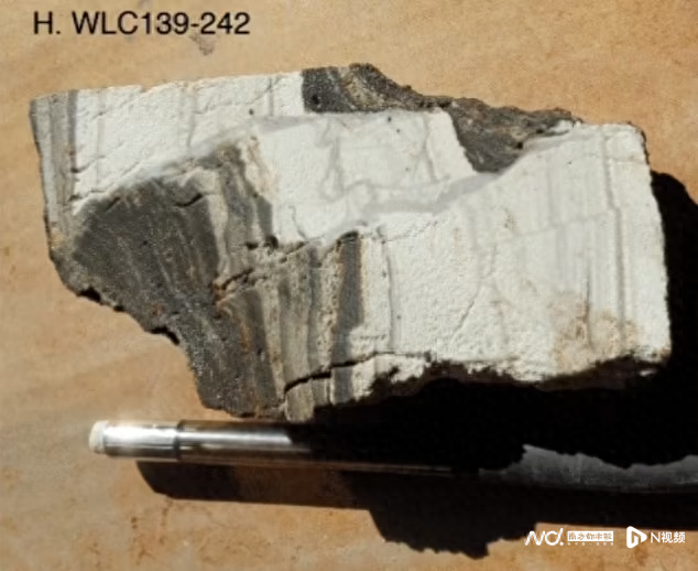研究小组从麦克德里米特火山口手工挑选了黏土岩样本，发现它们的锂浓度也很高 ...