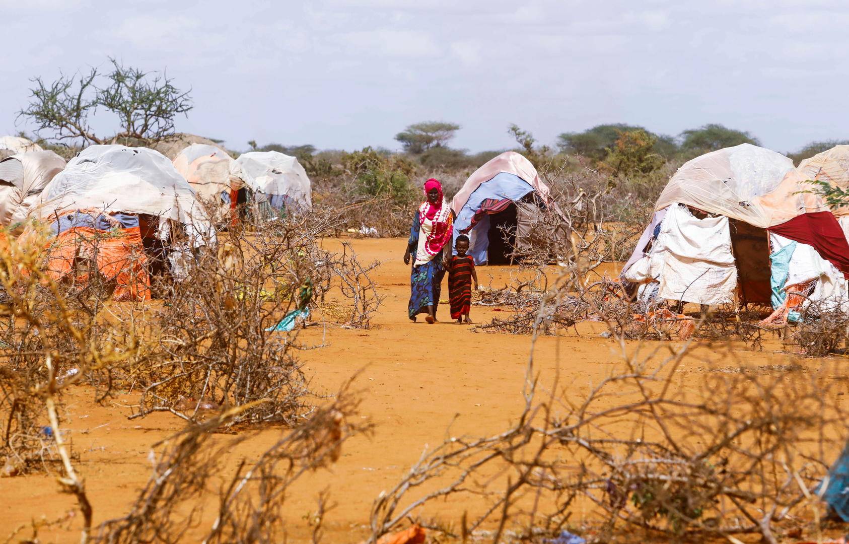 近年来，索马里经历了40年来罕见的历史性干旱