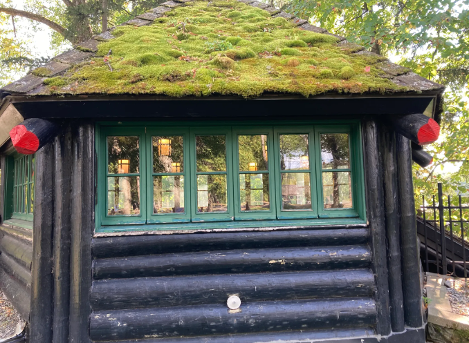 屋顶上层层叠叠的苔藓