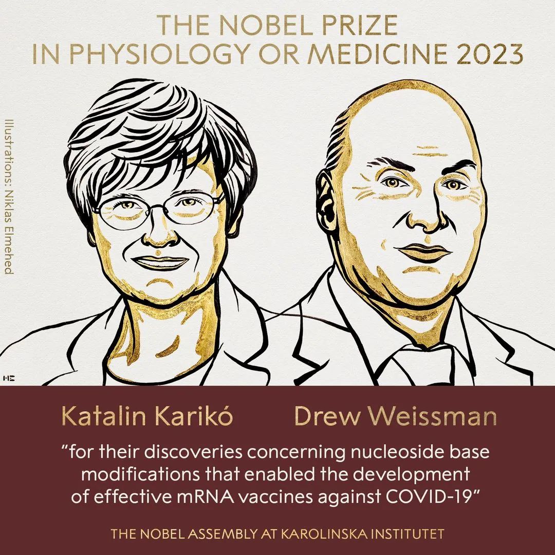 Katalin Karikó和Drew Weissman获得“2023年诺贝尔生理学或医学奖”