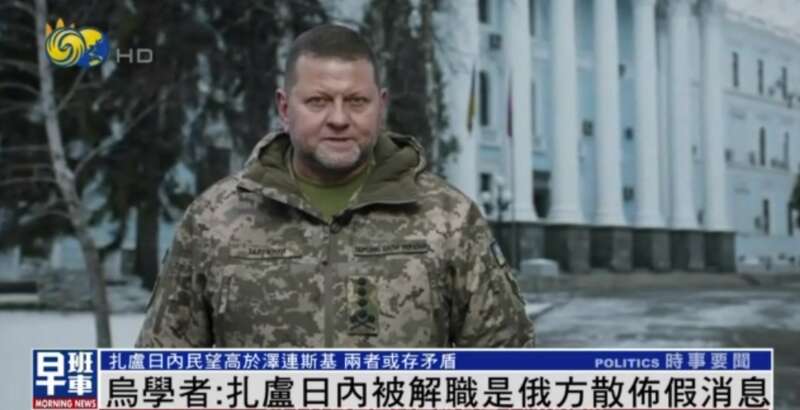 乌军总司令扎卢日内