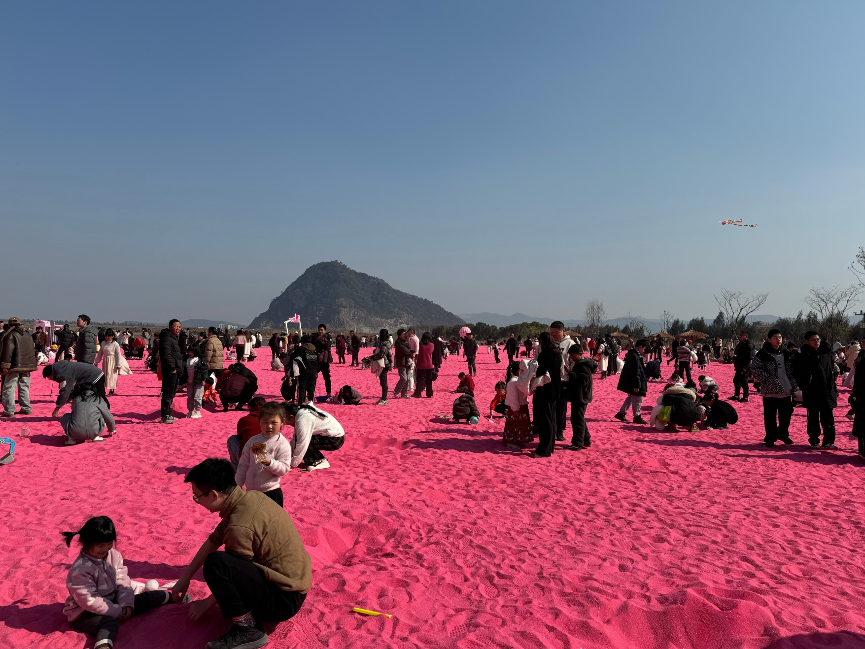 海滩中围起来的“粉色沙滩”满是游客