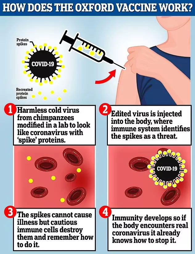 Oxford Vaccine.jpg