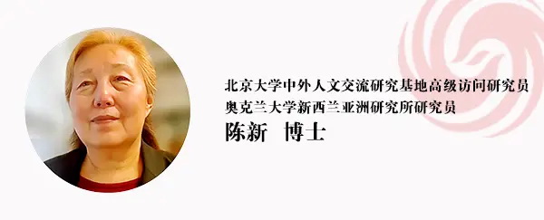 陈新博士